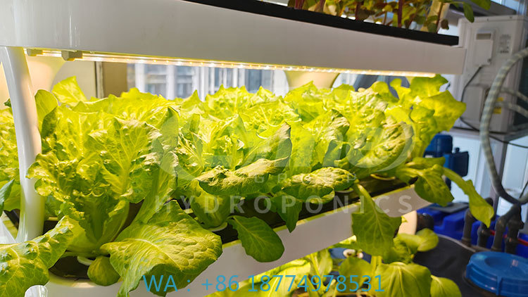 Farming Agriculture Equipment - c Сельскохозяйственная машина для выращивания овощей,