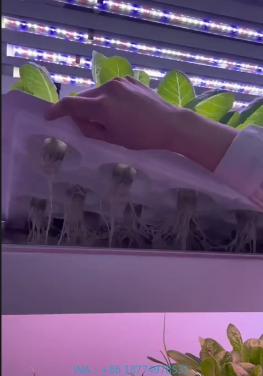 f Теплица Сельскохозяйственное – обзор и цена Agriculture Farming Systems