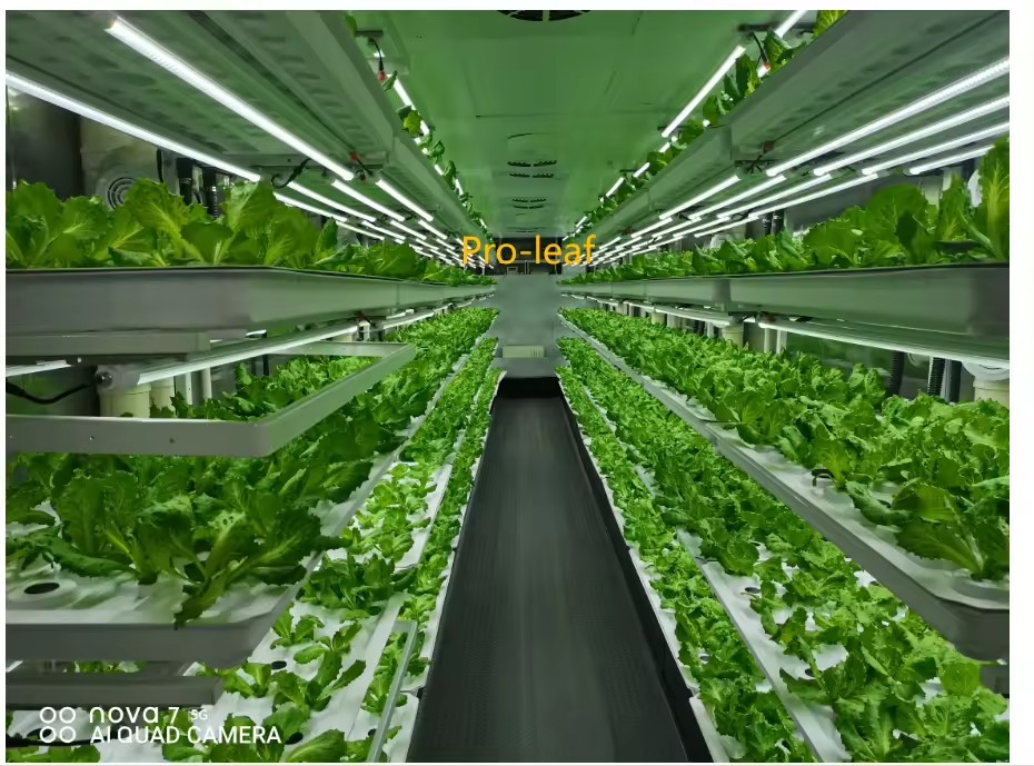 f Теплица Сельскохозяйственное – обзор и цена Agriculture Farming Systems