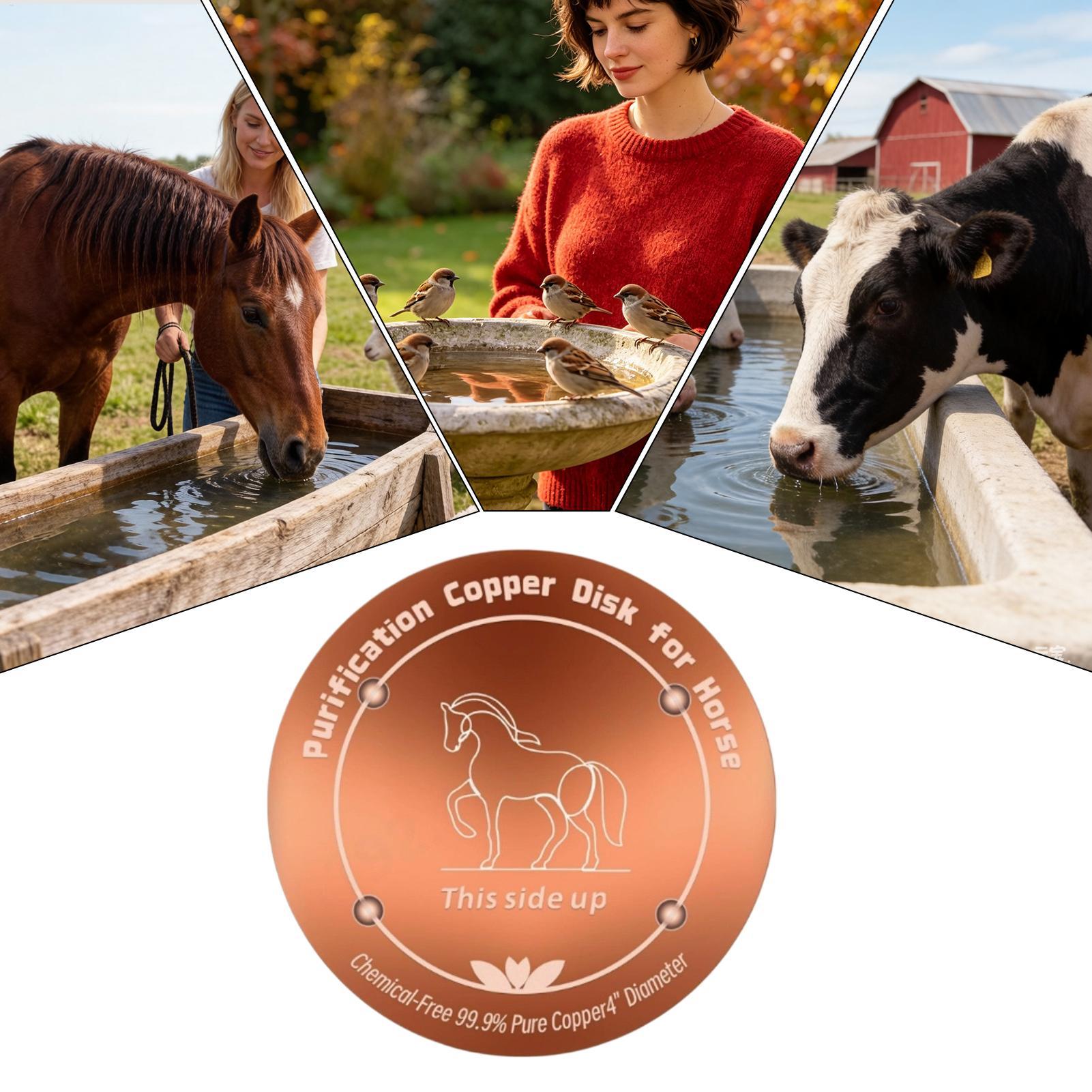 Медная пластина-фильтр 4 дюйма – обзор и цена Farming A